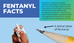 Fentanyl Facts Poster Header.