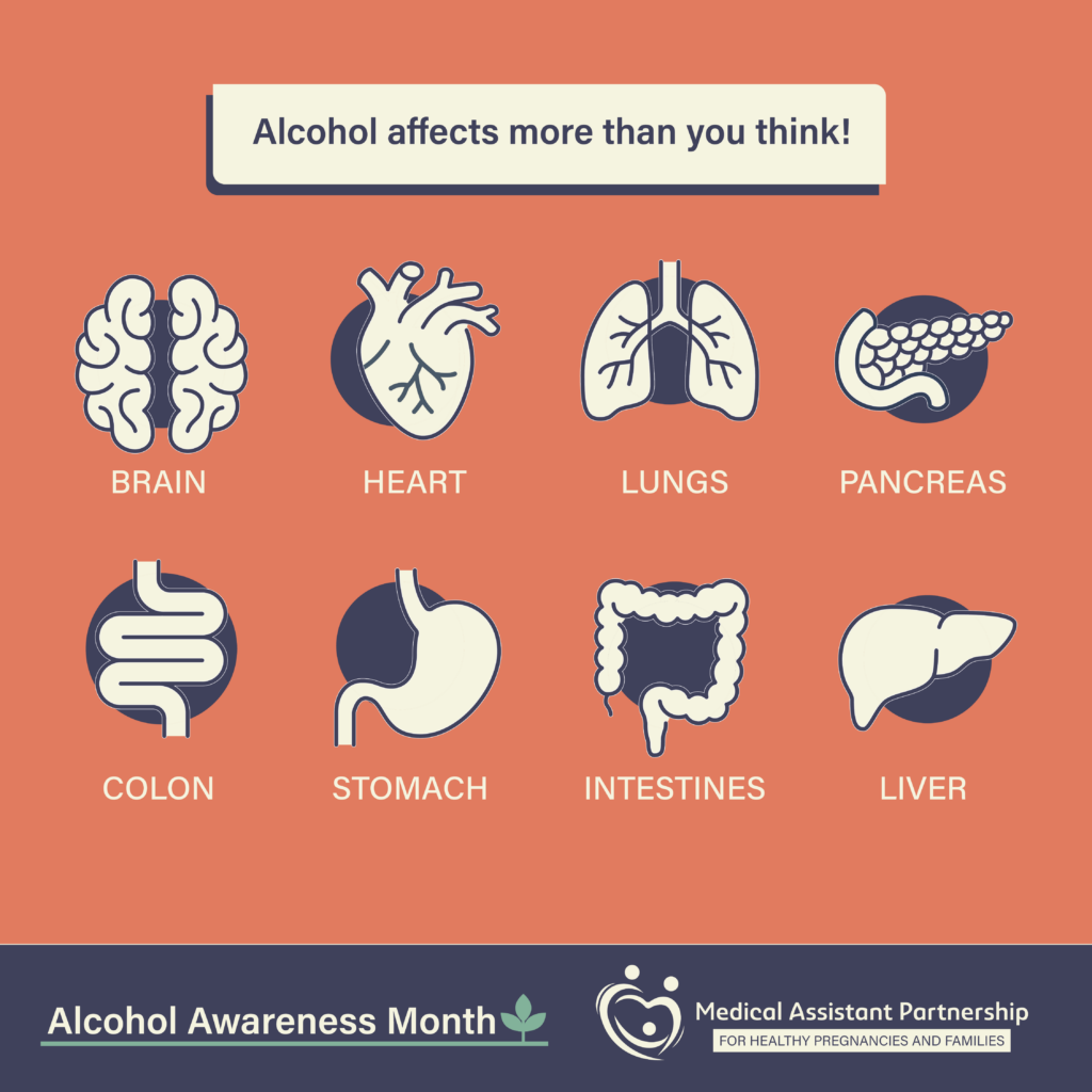 Alcohol affects more than you think! Brain, heart, lungs, pancreas, colon, stomach, intestines, and liver. With the Alcohol Awareness Month Logo and FASD MAP Logo.